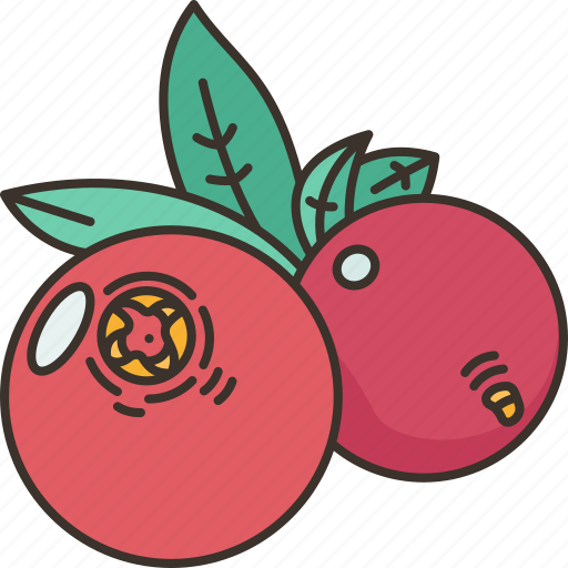 Cranberries, berry, dessert, tasty, harvest icon - Download on Iconfinder