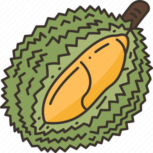Durian, fruit, dessert, sweet, exotic icon - Download on Iconfinder