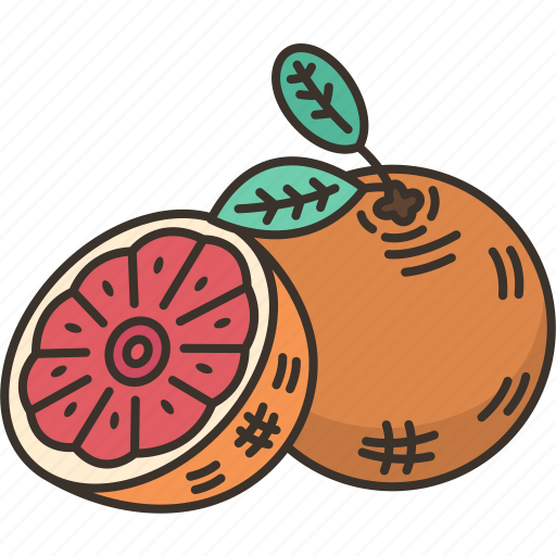 Grapefruit, citrus, juicy, fresh, vitamin icon - Download on Iconfinder