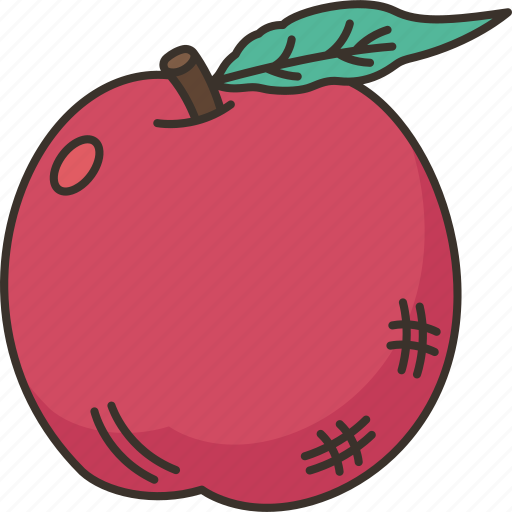 Nectarine, peach, fruit, juicy, tasty icon - Download on Iconfinder