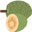 breadfruit, diet, exotic, plant, tropical 