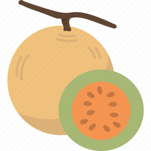 Cantaloupe, melon, fruit, fresh, ripe icon - Download on Iconfinder