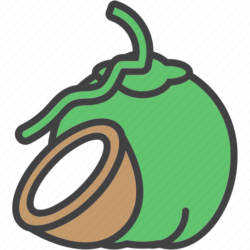 Asset, coconut, fruit, juice, healthy, vitamin icon - Download on Iconfinder