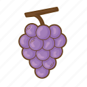 fruit, grape, grapes, wine, fresh grape, grape fruit