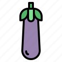 aubergine, eggplant, fruit, food