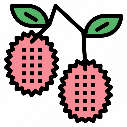 Fruit, lychee, food, healthy icon - Download on Iconfinder