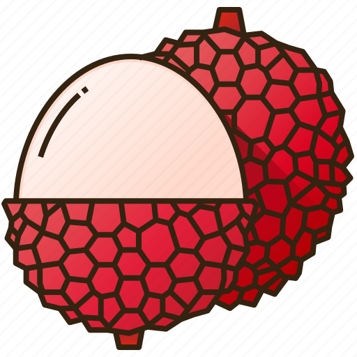 Diet, food, fruit, healthy, lychee icon - Download on Iconfinder