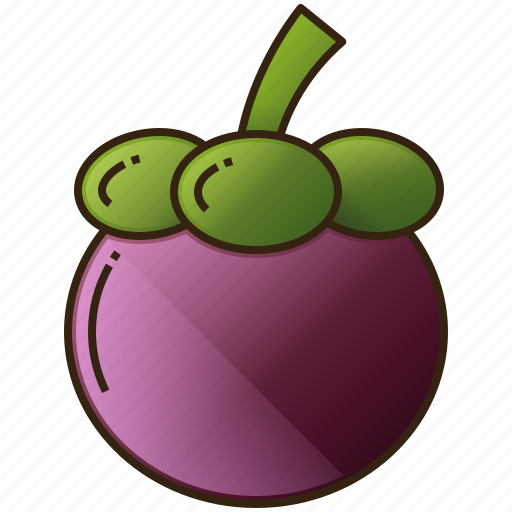 Diet, food, fruit, healthy, mangosteen icon - Download on Iconfinder
