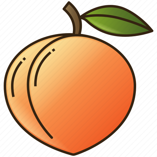 Diet, food, fruit, healthy, peach icon - Download on Iconfinder