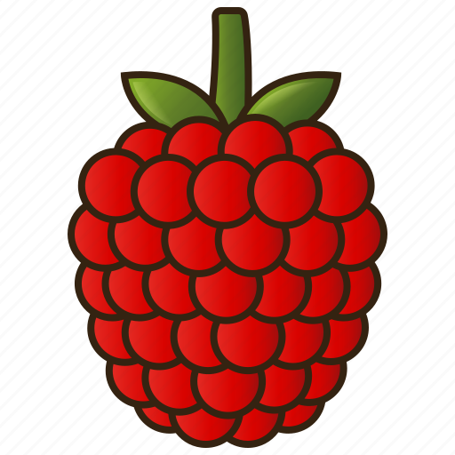 Diet, food, fruit, healthy, raspberry icon - Download on Iconfinder