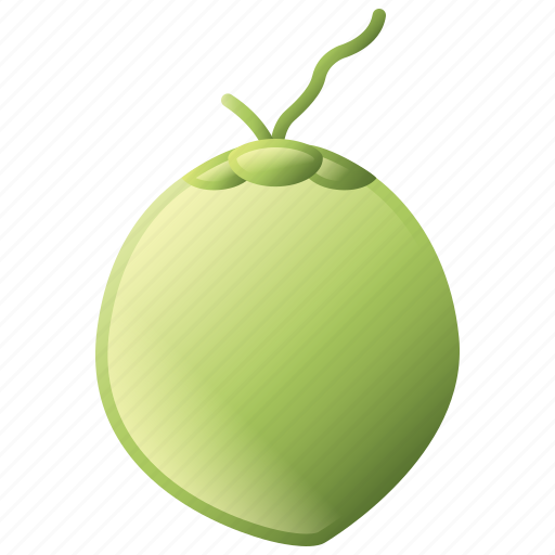 Coconut, diet, food, fruit, healthy icon - Download on Iconfinder