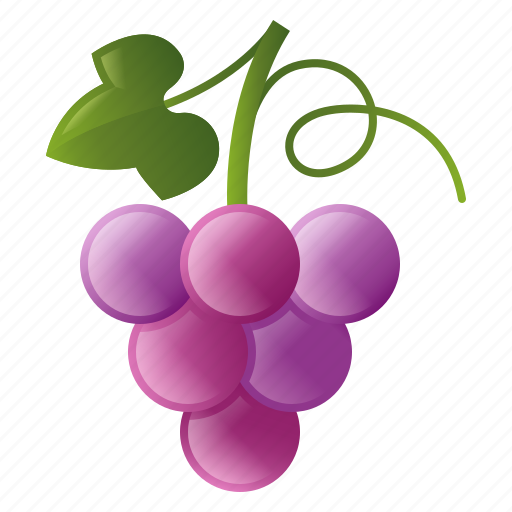 Diet, food, fruit, grape, healthy icon - Download on Iconfinder