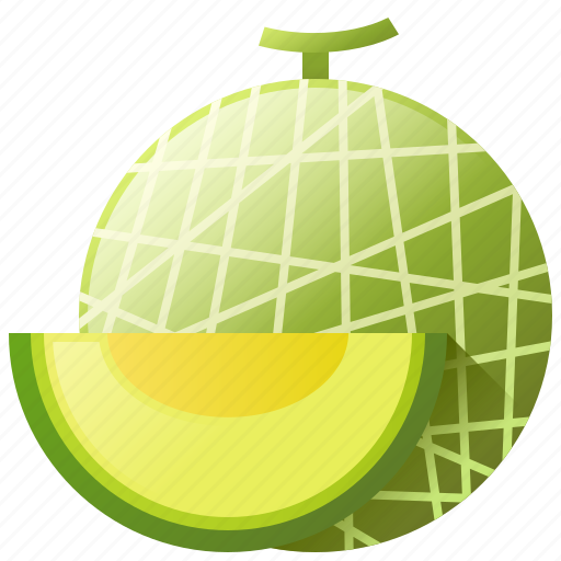 Diet, food, fruit, healthy, melon icon - Download on Iconfinder