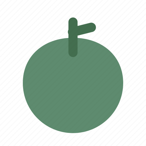 Food, fruit, healthy, melon, natural, organic icon - Download on Iconfinder