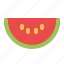 food, fruit, healthy, melon, natural, organic, water, watermelon 
