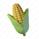 corn, farm, healthy, vegetable