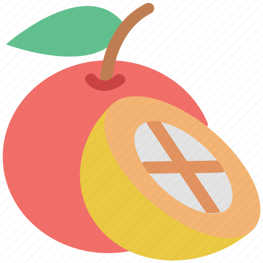 Citrus, citrus fruit, food, fruit, half of orange, healthy food, orange icon - Download on Iconfinder