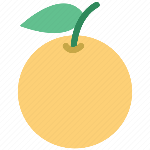 Citrus, citrus fruit, food, fruit, healthy food, orange icon - Download on Iconfinder