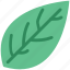 green, green leaf, green leafage, leaf, leafage, nature 