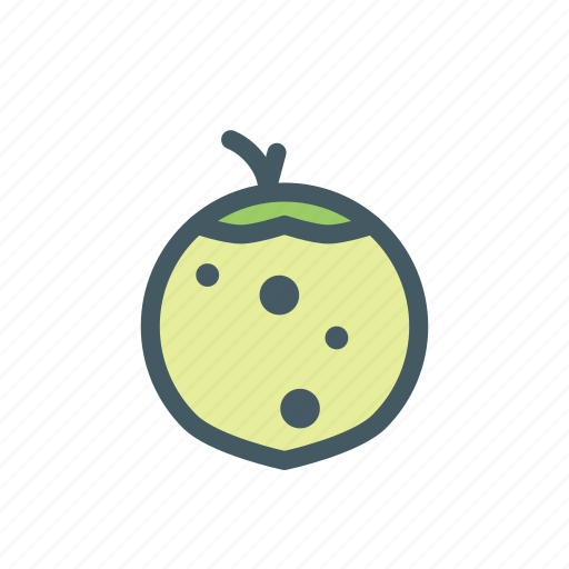 Beach, coconut, fresh, fruit, water icon - Download on Iconfinder