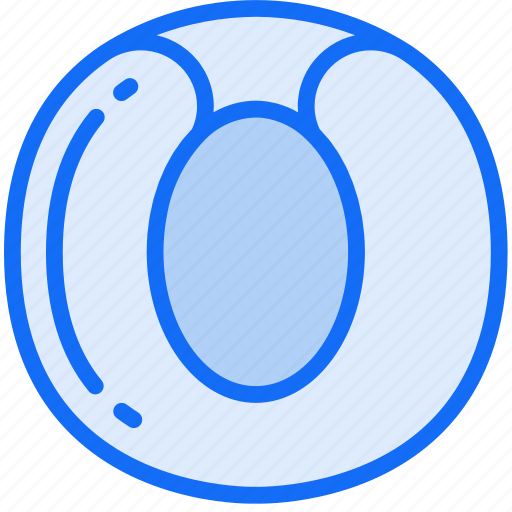 Apricot, eating, food, fruit, health icon - Download on Iconfinder