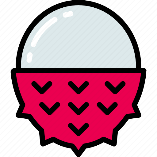 Eating, food, fruit, health, lychee icon - Download on Iconfinder