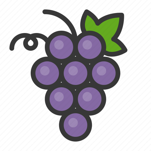 Fruits, grape, food, fruit, healthy icon - Download on Iconfinder