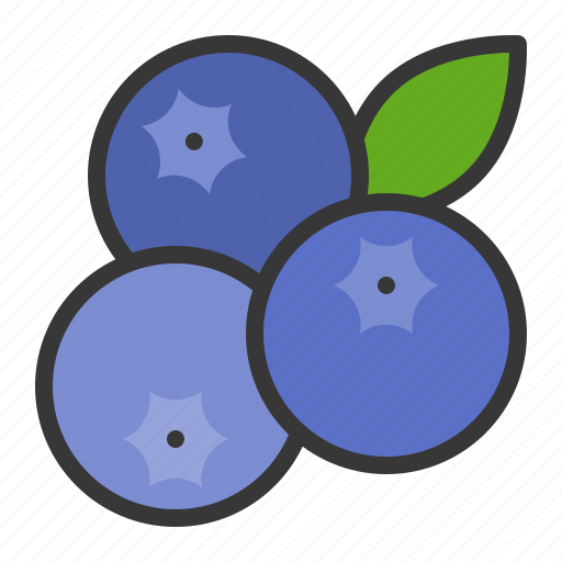 Blueberry, fruits, food, fruit, health icon - Download on Iconfinder
