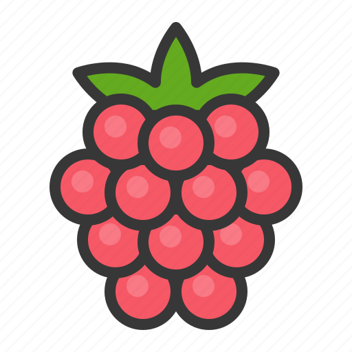 Fruits, raspberry, food, fruit, healthy icon - Download on Iconfinder