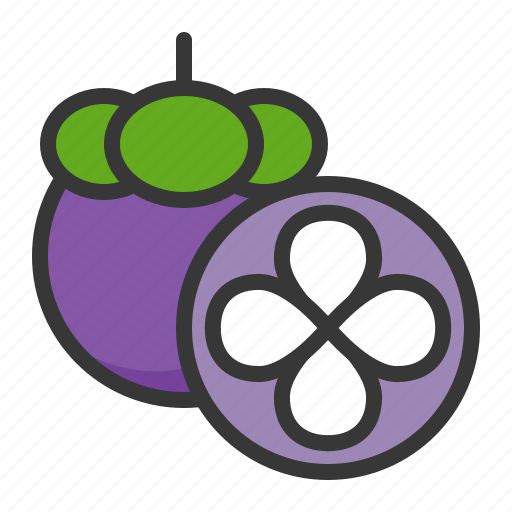 Fruits, half mangosteen, mangosteen, food, fruit, healthy icon - Download on Iconfinder