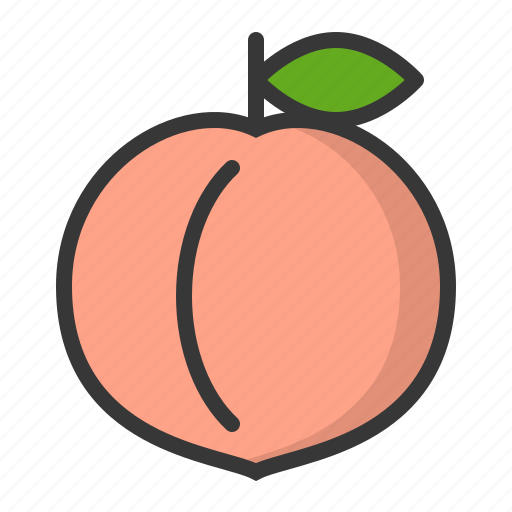 Fruits, peach, food, fruit, healthy icon - Download on Iconfinder