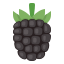 blackberry, berry, blackberries, ripe, fruit, whole, healthy, vitamin 