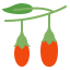 goji, berry, wolfberry, lycium, barbarum, berries, tibetan, chinese, whole 