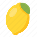fruit, healthy, food, lemon