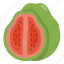 fruit, healthy, food, guava 