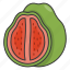 guava, fruit, healthy, food, tropical 