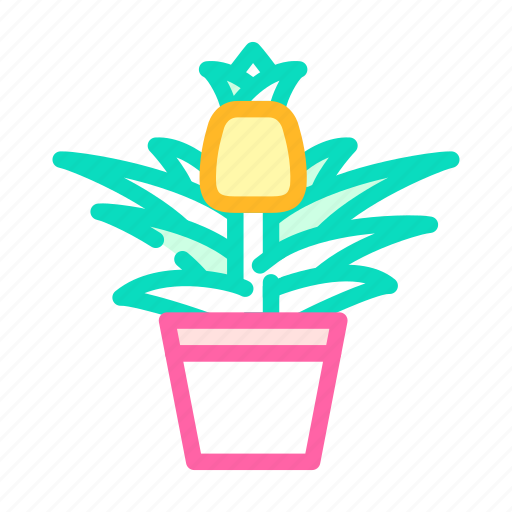 Plant, flower, pineapple, fruit, slice, cut icon - Download on Iconfinder