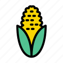 agriculture, corn, food, maize, vegetable