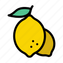 citrus, fruit, lemon, lime, natural