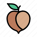 apricot, food, fruit, healthy, peach