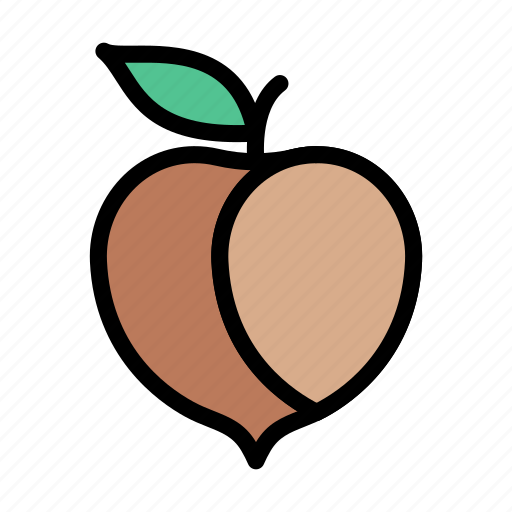 Apricot, food, fruit, healthy, peach icon - Download on Iconfinder