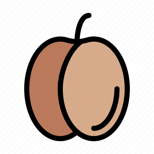 Apricot, food, fruit, natural, peach icon - Download on Iconfinder