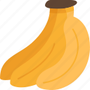 banana, food, diet, nutrition, healthy