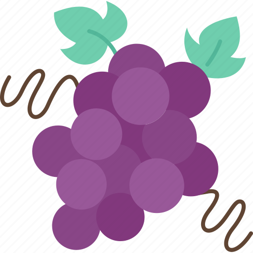 Grape, sweet, dessert, vine, winery icon - Download on Iconfinder