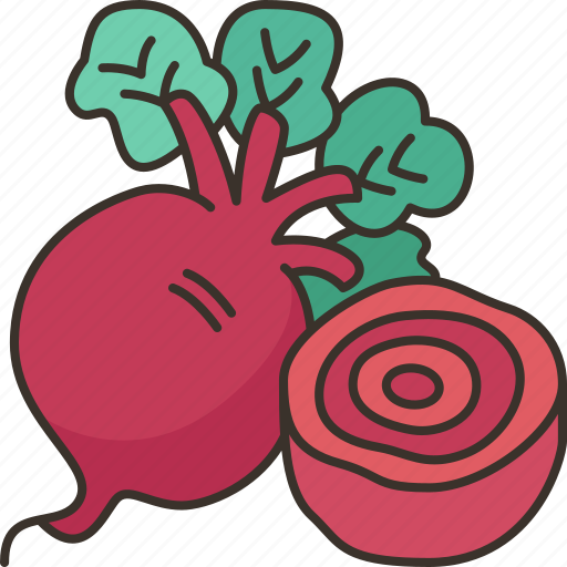 Beetroot, vegetable, food, ingredient, tuber icon - Download on Iconfinder