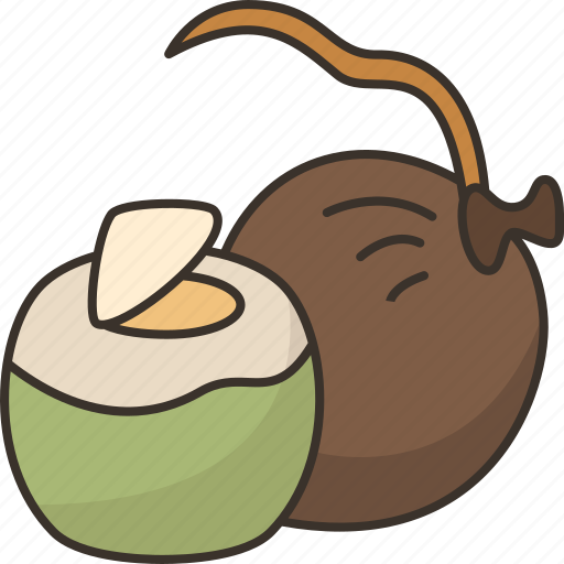 Coconut, juice, fresh, food, tropical icon - Download on Iconfinder