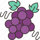 grape, sweet, dessert, vine, winery