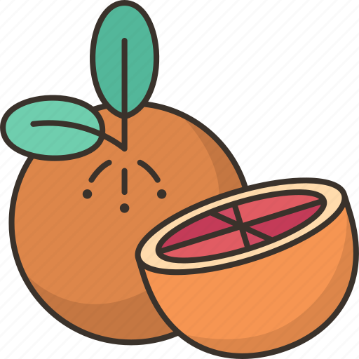 Grapefruit, citrus, dessert, sweet, slices icon - Download on Iconfinder