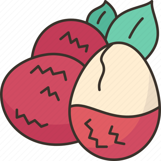 Lychee, juicy, sweet, freshness, tropical icon - Download on Iconfinder