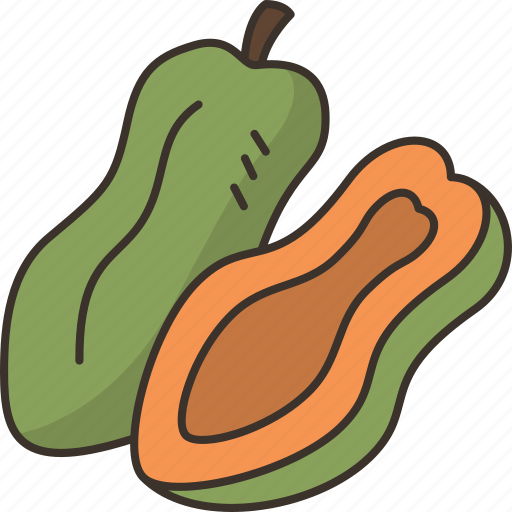 Papaya, nutrition, ripe, organic, tropical icon - Download on Iconfinder